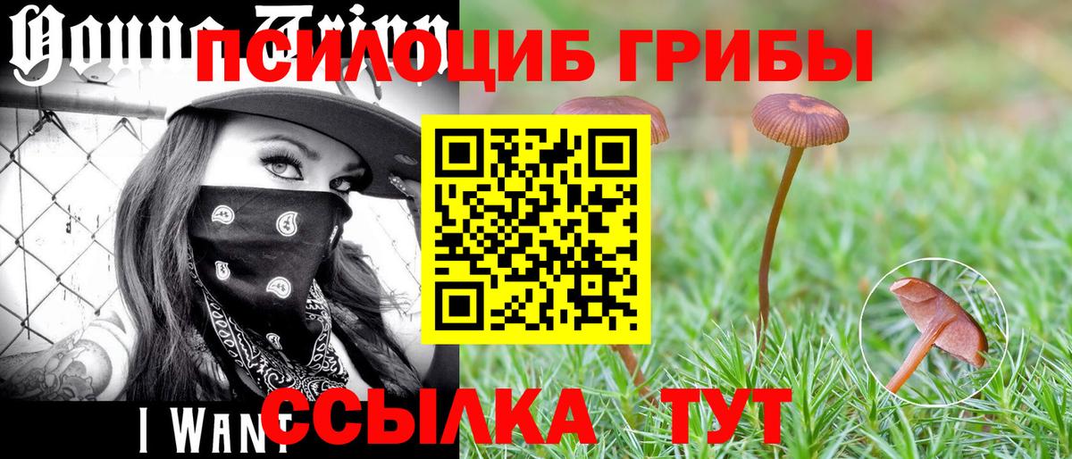 Спасск-Дальний  Псилоцибиновые грибы Magic Shrooms  Галлюциногенные грибы MAGIC MUSHROOMS  Вход с VPN 